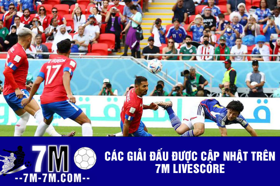Các giải đấu được cập nhật trên 7m Livescore Các giải đấu được cập nhật trên 7m Livescore