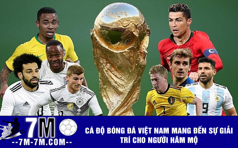 Cá độ bóng đá Việt Nam mang đến sự giải trí cho người hâm mộ Cá độ bóng đá Việt Nam mang đến sự giải trí cho người hâm mộ