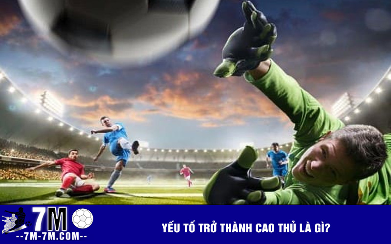 Yếu tố trở thành cao thủ là gì? Yếu tố trở thành cao thủ là gì?