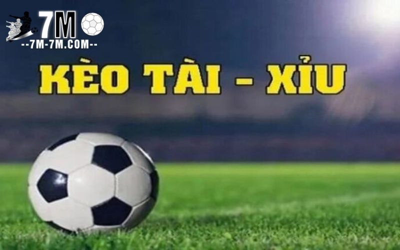 Tìm hiểu kèo tài xỉu Tìm hiểu kèo tài xỉu