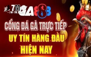Sảnh đá gà trực tuyến uy tín tại GA888